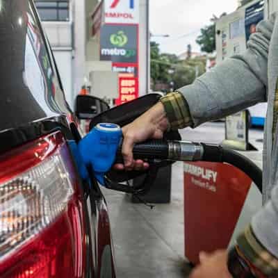 Hard-to-miss petrol pricing a 'proxy' for inflation