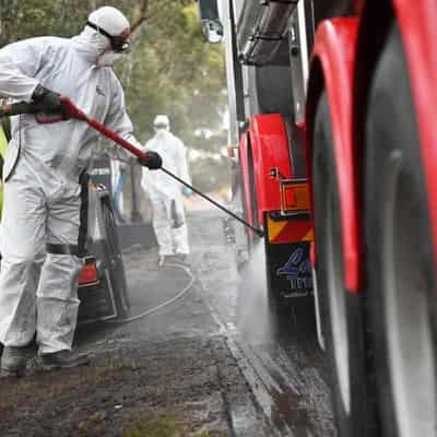 Australia look to NZ for advice on bird flu threat