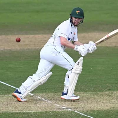 Doran defiant as rain halts Shield final rematch