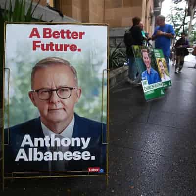 Labor 'losing touch' with blue-collar base: party elder