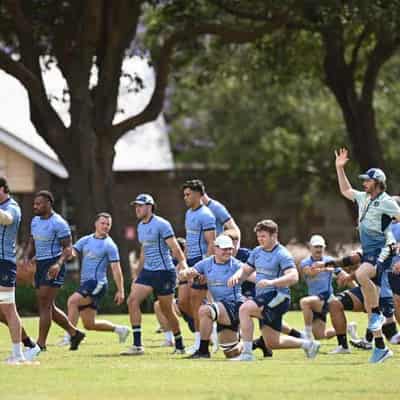 Wise Wallabies making no promises for grand slam tour