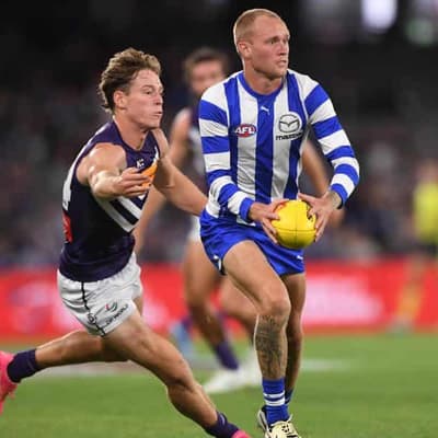 Kangaroos' Stephenson set to retire from AFL