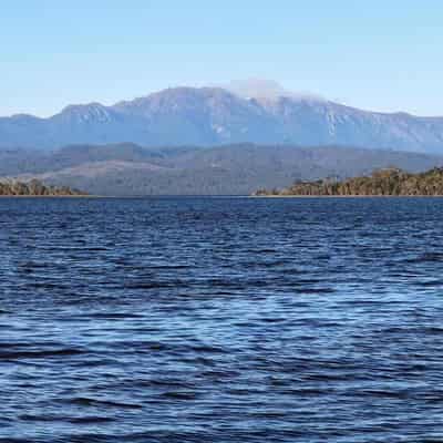 Canberra lashed for 'kicking the can' on salmon farms