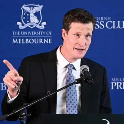 Seven news boss wants tax break to fight X, Facebook