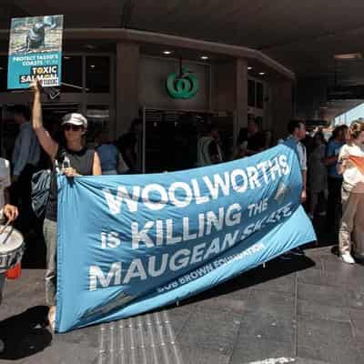 Fish furore: Woolies refuses to phase out farmed salmon