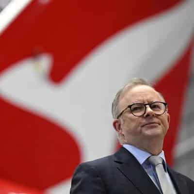 Labor, coalition ensnared in flight upgrade furore