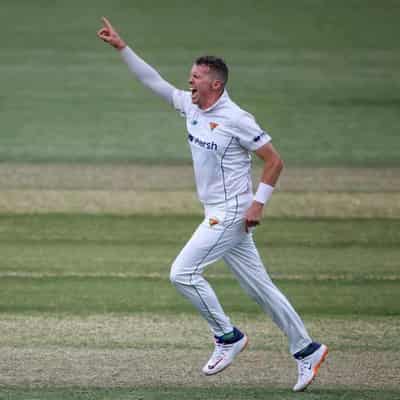 Ageless Siddle boosts depleted Vics against SA