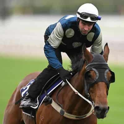 Melbourne Cup favourite Buckaroo handed wide draw