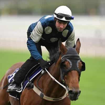 Mullins eyes Irish success in Melbourne Cup