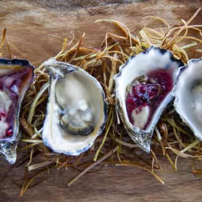 Shuck horror! WA-grown Sydney Rock Oysters heading east