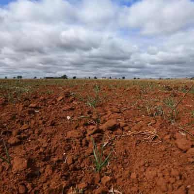 Climate investors told to press ahead despite Trump