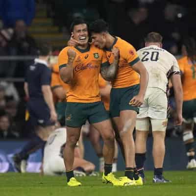 Wallabies launch Suaalii era with glorious England win