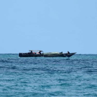 Border enforcement call after men left on remote island