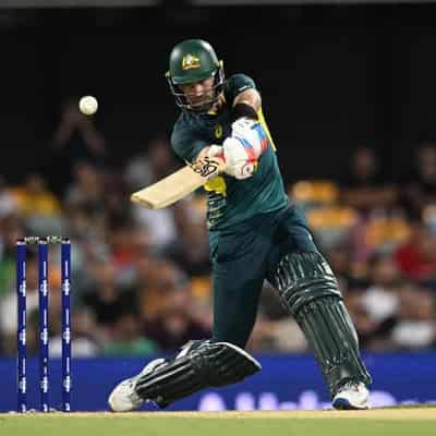 Maxwell, bowlers fire in rain-shortened T20 Gabba slog