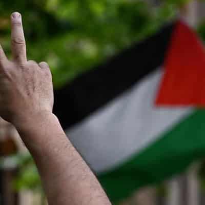 Minister defends UN vote for Palestine resource rights