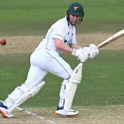 Doran scores ton as rain cruels Tigers against Bulls