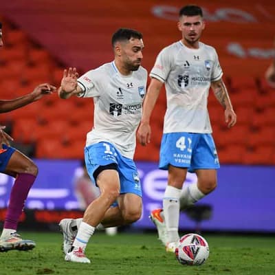 Socceroos should take risks against Bahrain: Caceres