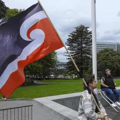 New Zealand treaty protests to climax in capital