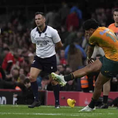 Lolesio thriving as the Wallabies' vital No.10 cog