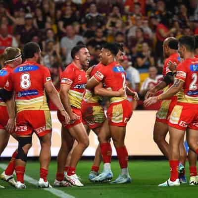 NRL draw lifts prime time Dolphins to kings of Brisbane