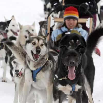 Canada apologises to Inuit communities for killing dogs