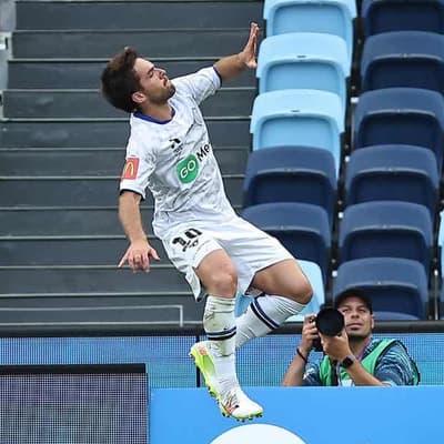 Auckland beat Bulls, go top with fourth-straight win