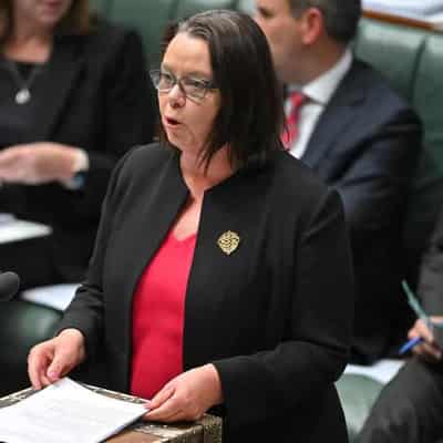 'All about jobs': minister spruiks net zero tax breaks