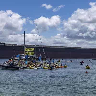 Anti-coal protests 'playing into Dutton's hands'