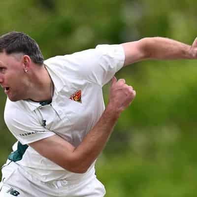 Webster makes case with wickets and runs in Shield