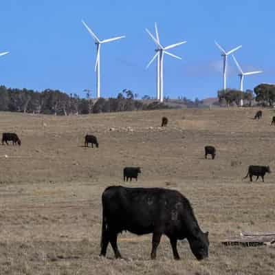 Call to listen to 'farmers not Facebook' on new energy