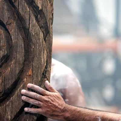 'Incredible' return of carved tree inspires community