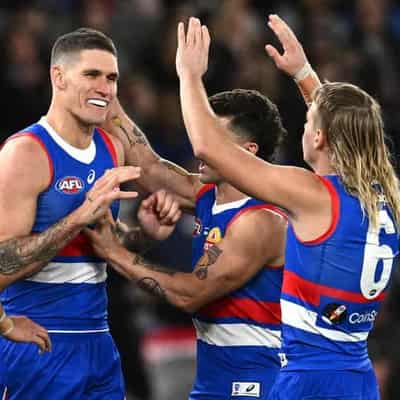 Why Lobb is bullish Dogs will cover midfield holes