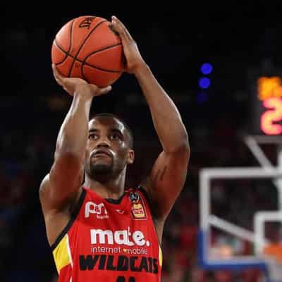 Cotton's record-breaking haul lifts Wildcats to NBL win