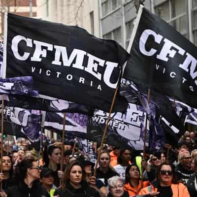 Cbus-CFMEU bond 'may not be in members' best interest'