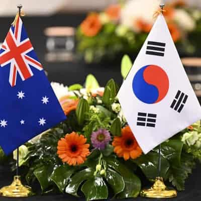 Shocked Aussies in Korea reeling after martial law bid