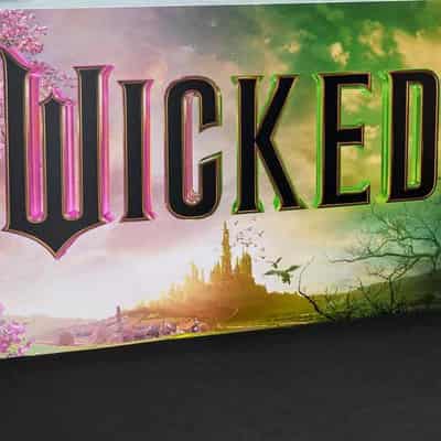 Mattel sued over 'Wicked' doll box porn website link