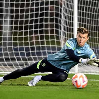 Victory buzzing for Langerak's ALM return