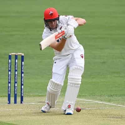 Hunt, Sangha post tons as Redbacks heap pain on Tassie