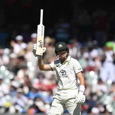 Labuschagne keeps wolves at bay with feisty knock