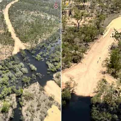 Couple stalked by giant crocodile after car washed away