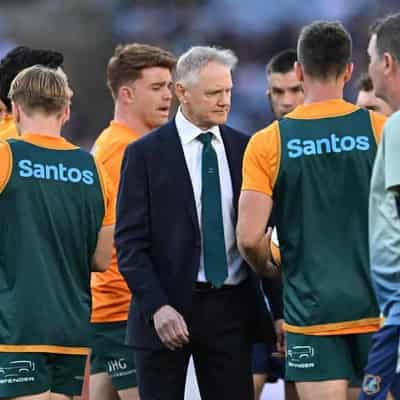 Rugby Australia targets Bledisloe glory in bold plan