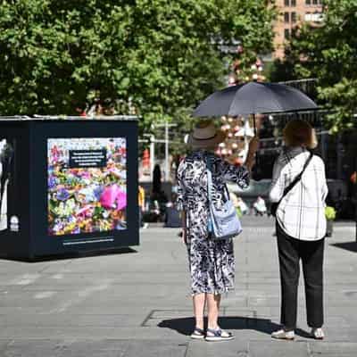 Ghostly scene at site of deadly Lindt siege 10 years on