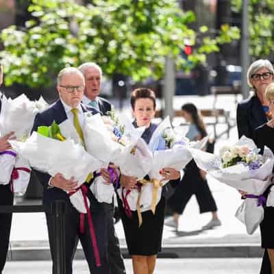 Flowers, reflection for 10th anniversary of Lindt siege