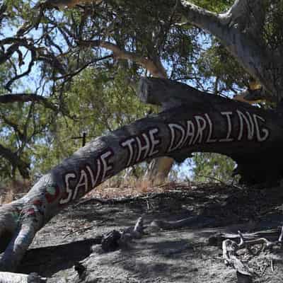 Mission to save Murray-Darling Basin edges forward