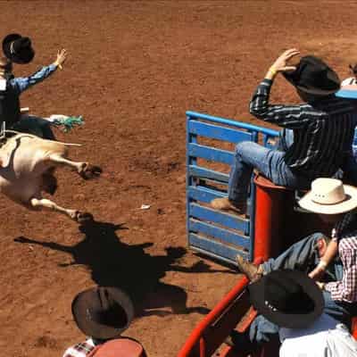 Southern hemisphere's biggest rodeo set to ride again