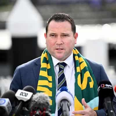 Matildas coach recruitment could drag beyond February