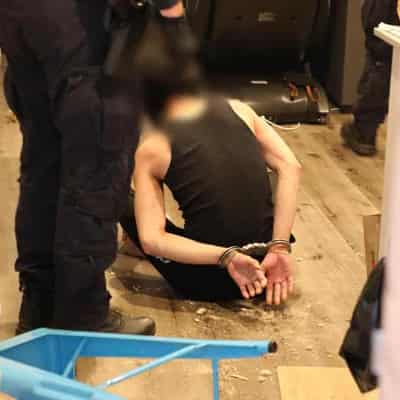 Drug kingpins unmasked as raids snare Asian gangs, labs