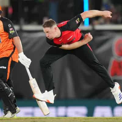 Renegades defend Marvel pitch after taming Scorchers