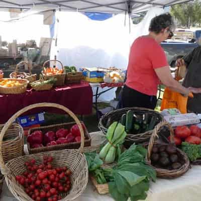 More to farmers markets than each peach, pear or plum