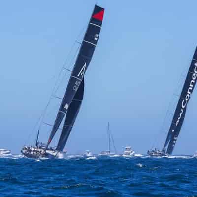 Wild seas to follow Syd-Hob retirements, Comanche leads